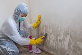 Best Mold Removal for HVAC Installations  in Ripon, CA